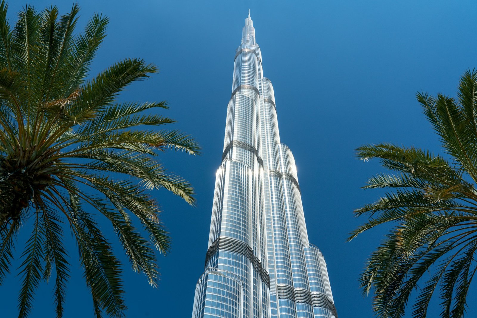 Burj Khalifa framed by palm trees against a blue sky