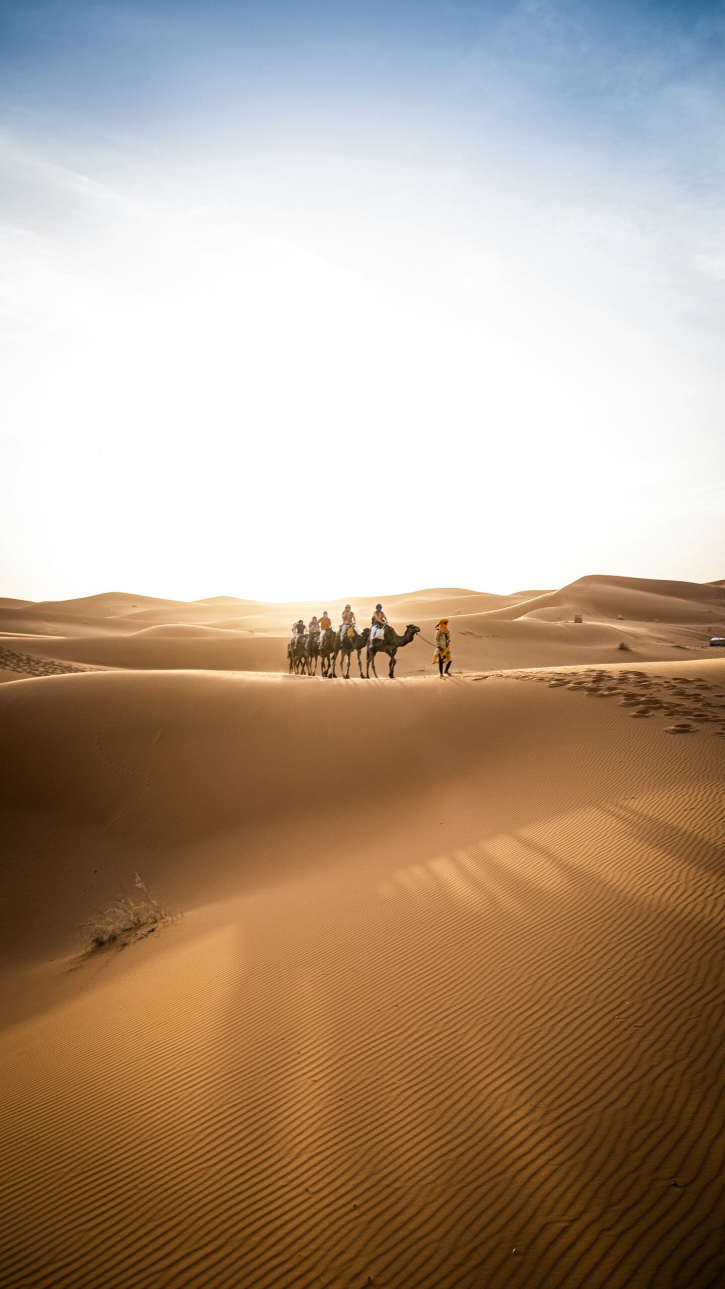 Camel caravan crossing the dunes in soft morning light